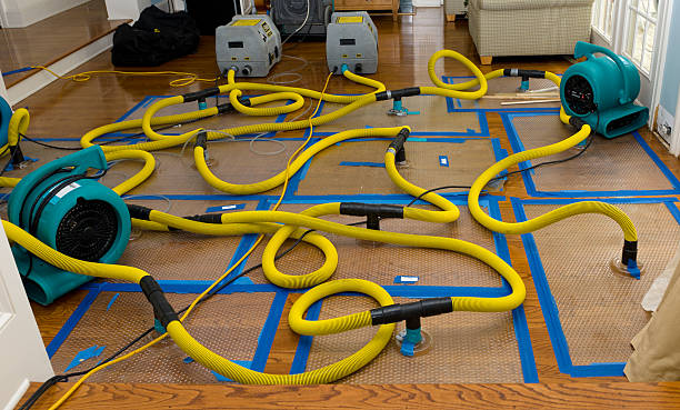 Professional Structural Drying And Dehumidification technician working in Newark, NY